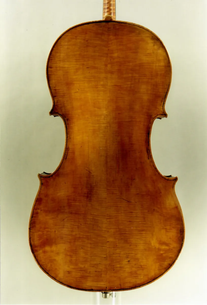 Vermisstes Cello von Carlo Giuseppe Testore