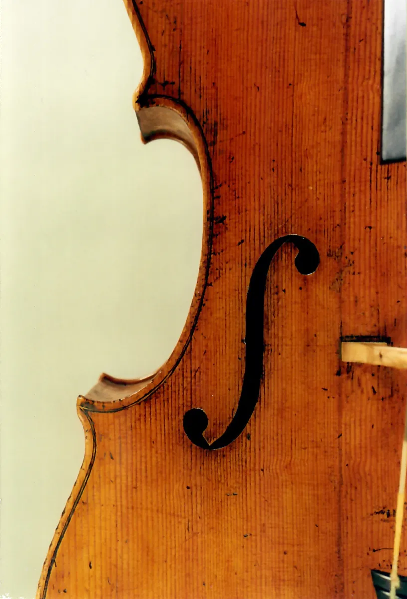 Vermisstes Cello von Carlo Giuseppe Testore