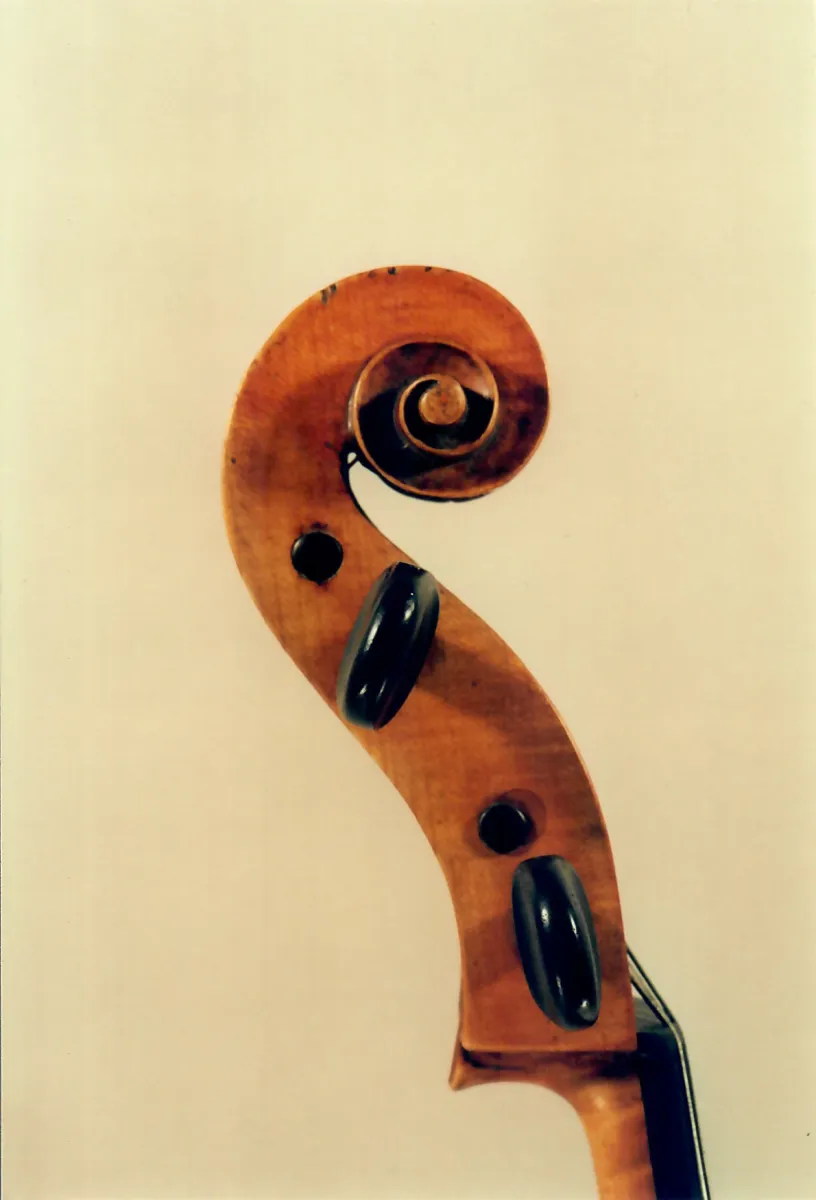 Vermisstes Cello von Carlo Giuseppe Testore